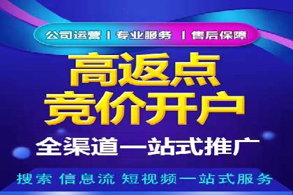 SEM广告优化案例：实战技巧解析